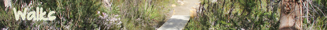 walking tracks in Tasmania