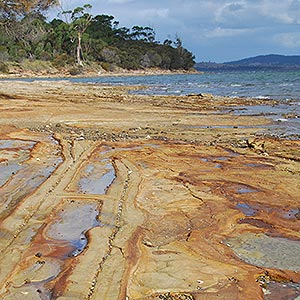 Howden Foreshore