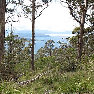 Tinderbox Hills