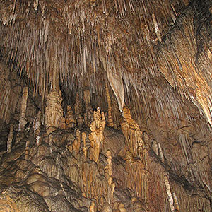 Hastings Caves State Reserve