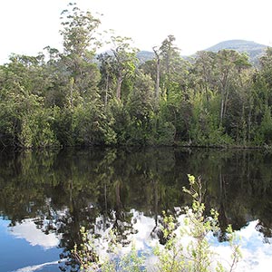 Duckhole Lake