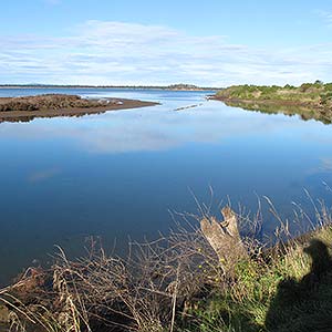 Waterview Reserve Bird Sanctuary