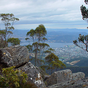 Mt Wellington