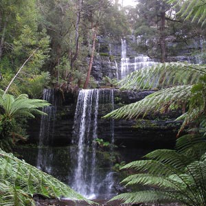 Russell Falls and Horseshoe Falls