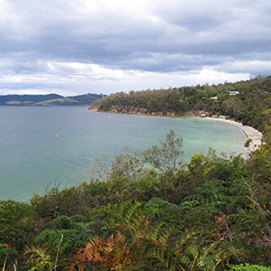 Coningham Cliff Top Walk