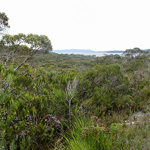 Labillardiere Peninsula Walk