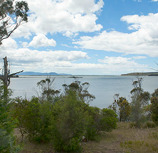 Marion Bay