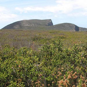 Mount Brown and Crescent Bay